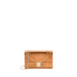 Dior Diorama Wallet on Chain Patent Metallic