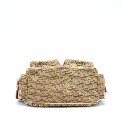 Dior Trotter Street Chic Pocket Diorissimo Hobo Purse Canvas