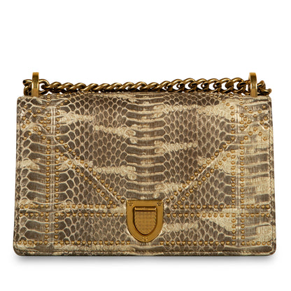 Dior Designer Crossbody Bag