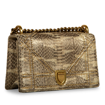 Dior Designer Crossbody Bag