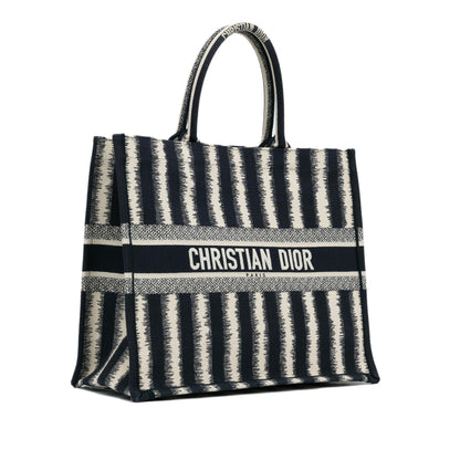 Dior Large Striped Book Tote (SHG-WRxHGK)