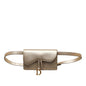 Dior Leather Saddle Belt Bag