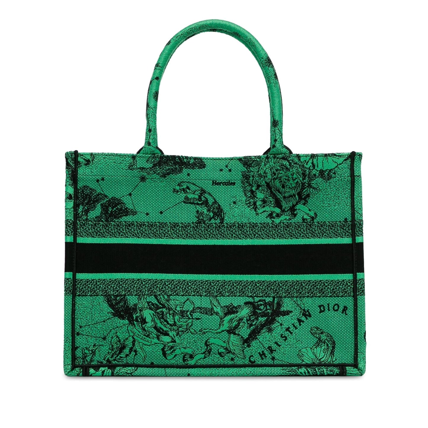 Dior Medium Embroidered Canvas Book Tote (SHG-zoAytt)
