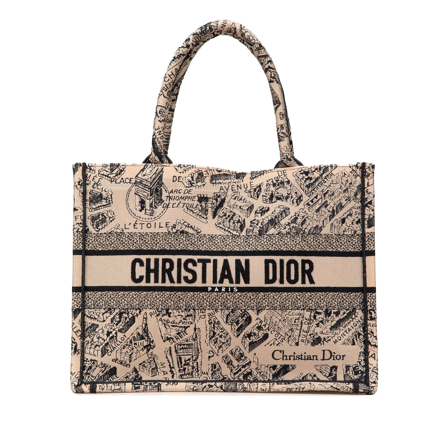 Dior Medium Embroidered Canvas Plan de Paris Book Tote