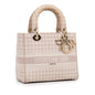 Saint Laurent Mini Canvas Handbag