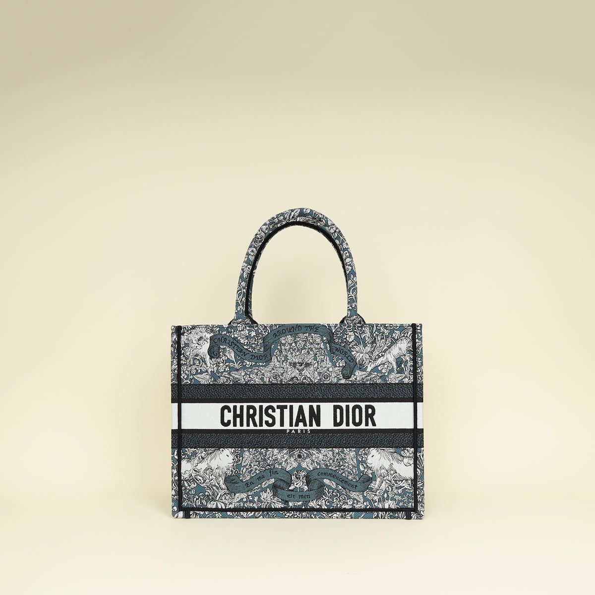 Christian Dior Tricolor Around The World Embroidered Book Medium Tote Bag
