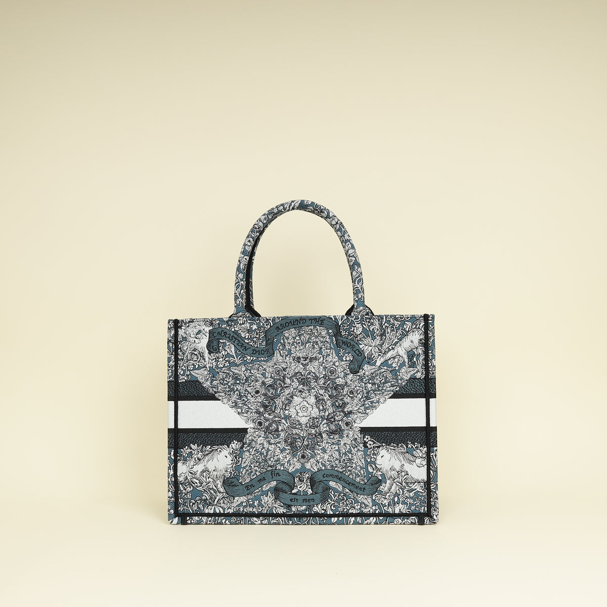 Christian Dior Tricolor Around The World Embroidered Book Medium Tote Bag