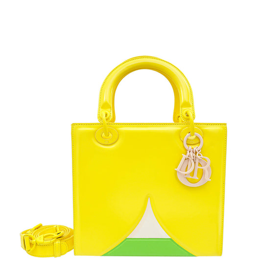Christian Dior Yellow Multicolor Art Ltd Ed Leonhard Hurzlmeier Lady Dior Medium Bag