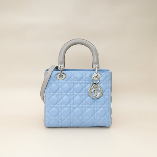 Dior Lady Dior Leather Handbag Style 72