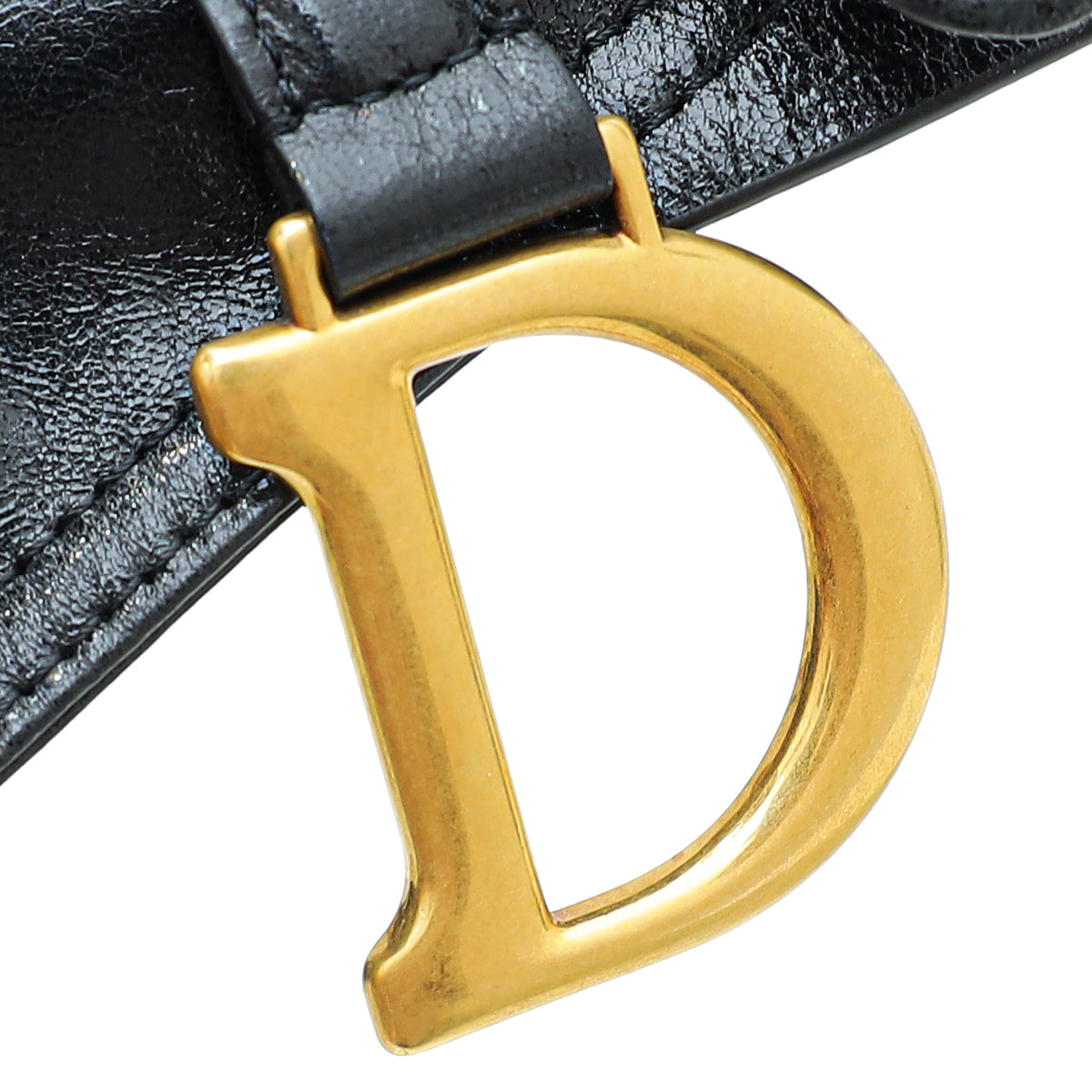 Dior Saddle Leather Crossbody Style 31