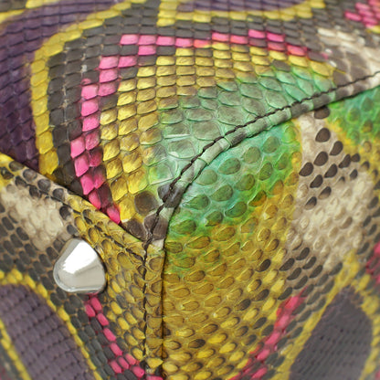 Christian Dior Multicolor Python Lady Dior Ltd Ed Defile Ete 2014 Large Bag
