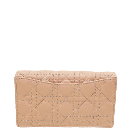 Christian Dior Rose De Vents Caro Pouch With Chain