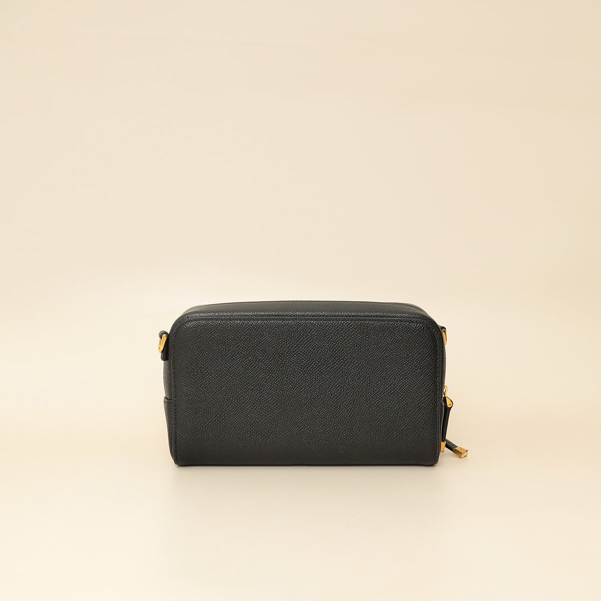Dior Caro Leather Crossbody