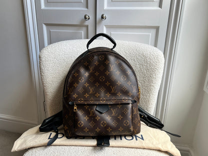 Louis Vuitton Palm Springs MM Backpack (RRP £2,090)