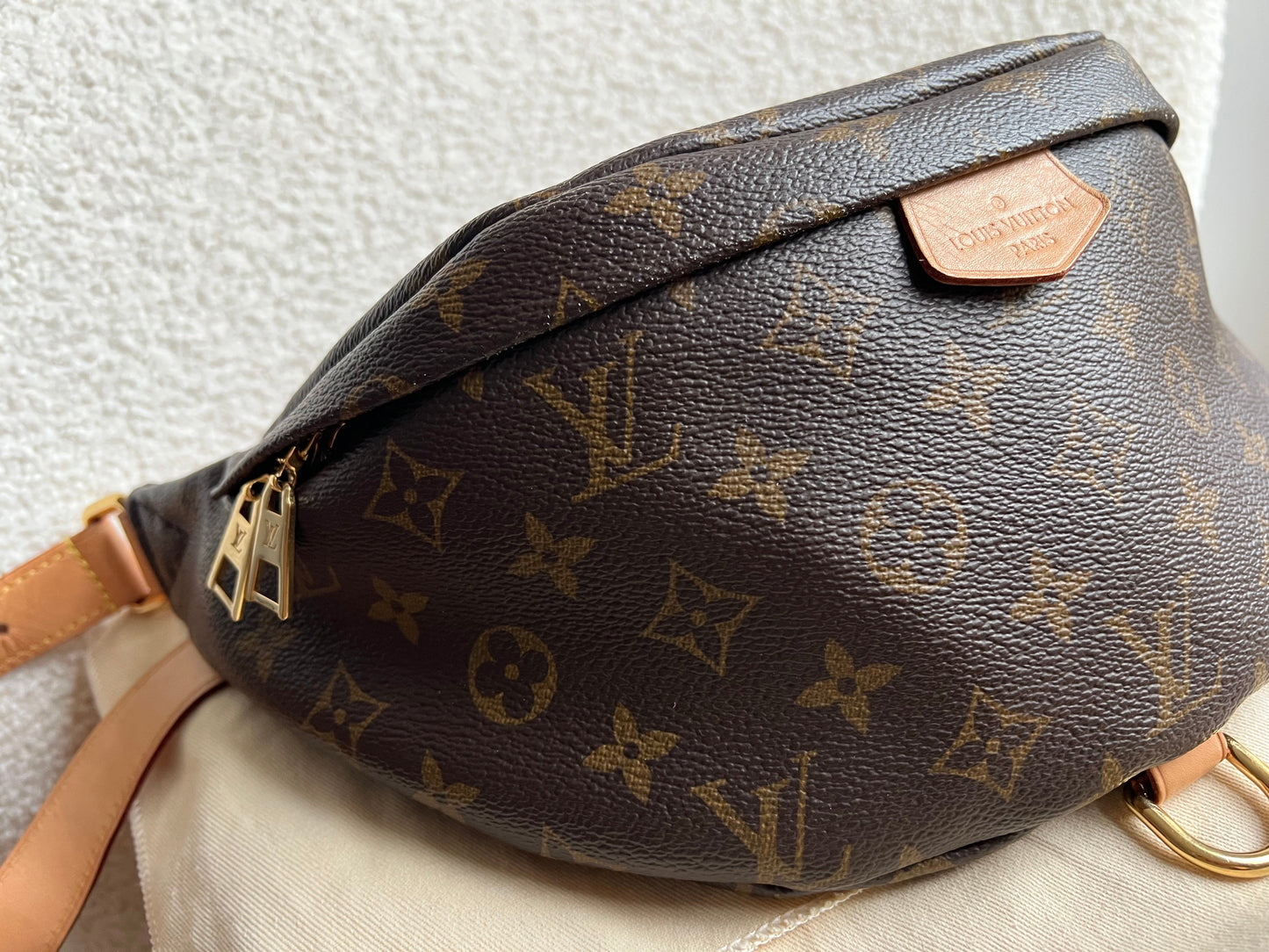 Louis Vuitton Bumbag in Monogram Canvas