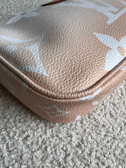 Louis Vuitton Multi Pochette Accessoires Summer By the Pool Limited Edition