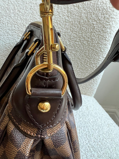 Vuitton Trevi PM Damier Ebene