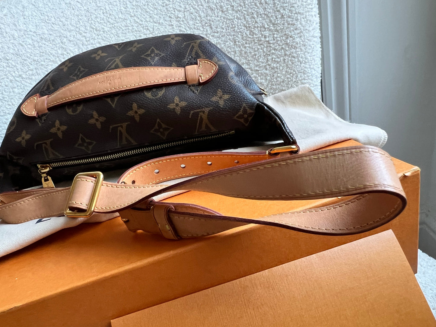 Louis Vuitton Bumbag in Monogram Canvas