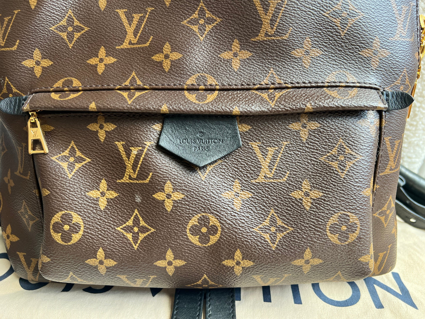 Louis Vuitton Palm Springs MM Backpack (RRP £2,090)