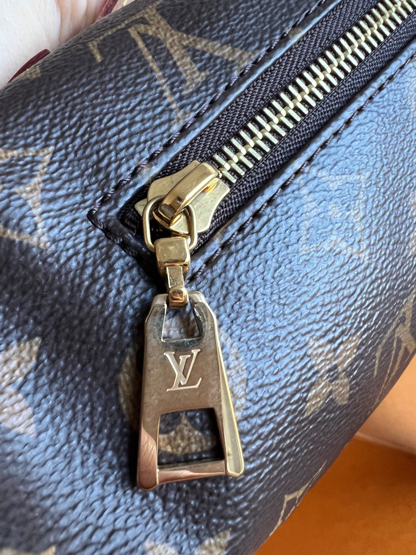 Louis Vuitton Bumbag in Monogram Canvas