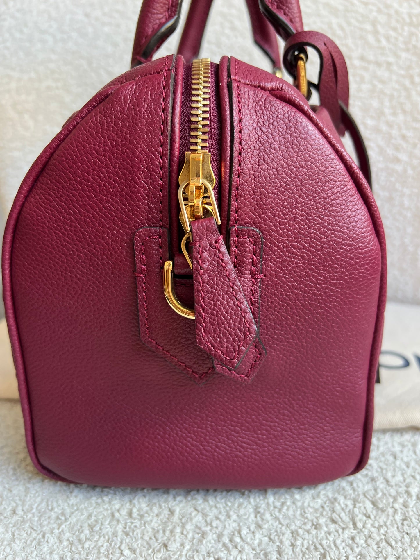 Louis Vuitton Speedy 25 Raisin Empreinte (RRP £1,840)