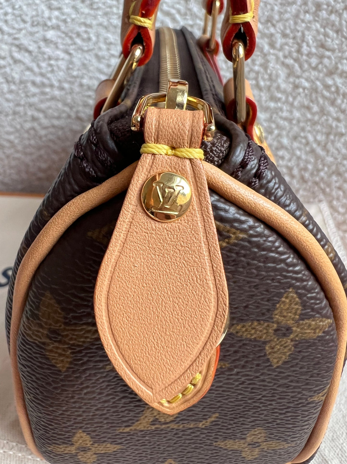 Louis Vuitton Speedy Nano Monogram (RRP £1420)