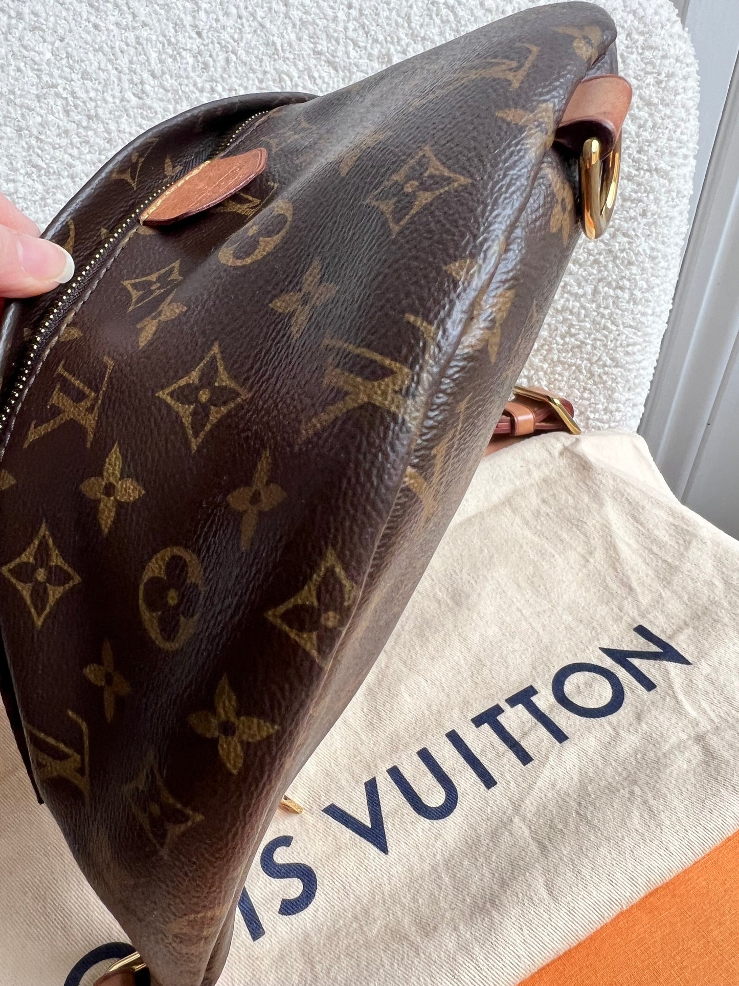 Louis Vuitton Bumbag in Monogram Canvas