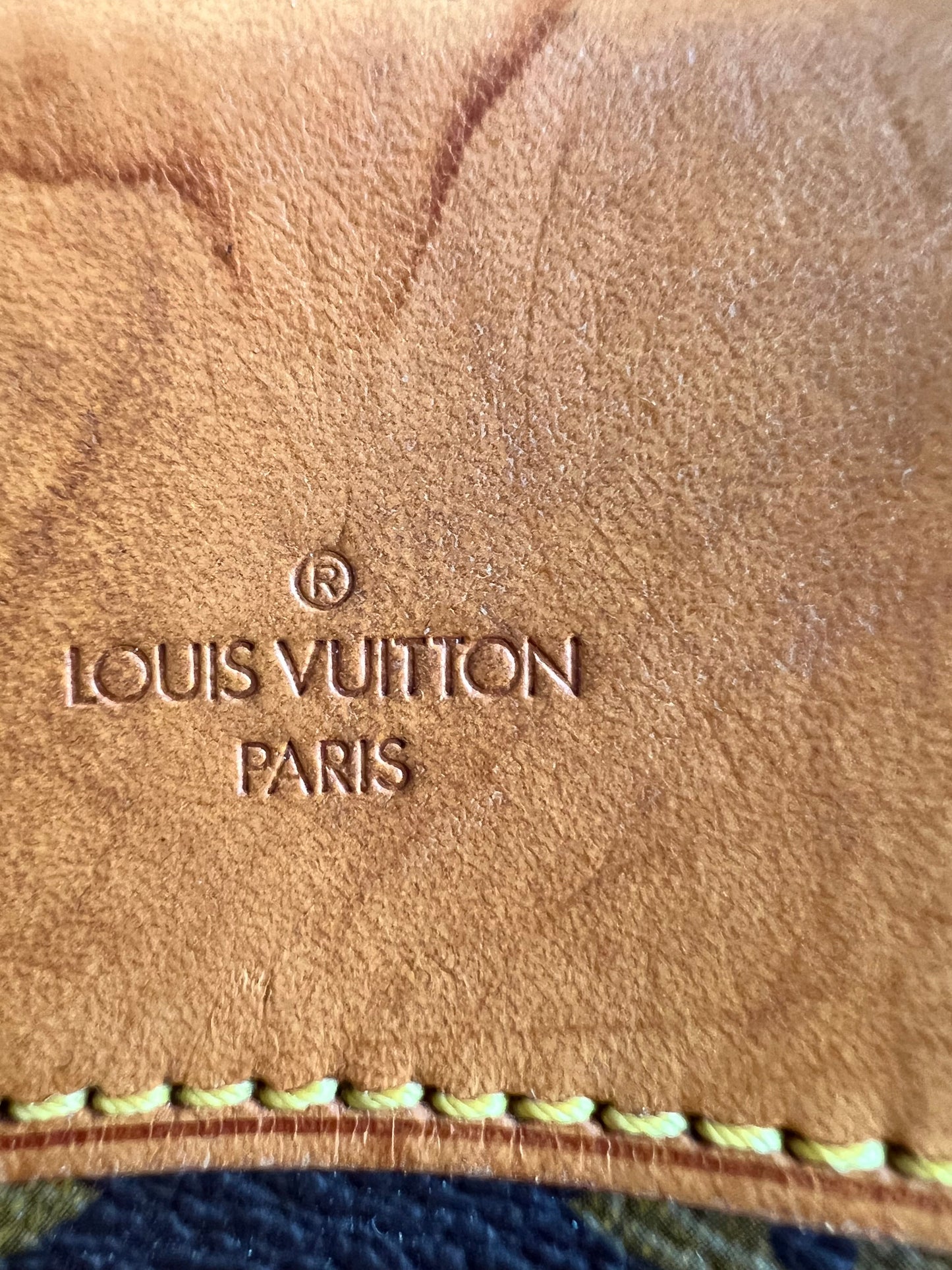 Louis Vuitton Excursion Monogram