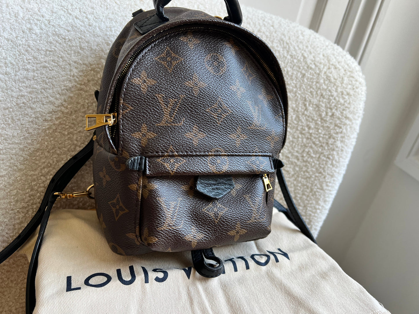 Louis Vuitton Palm Springs Mini Backpack (RRP £1,860)