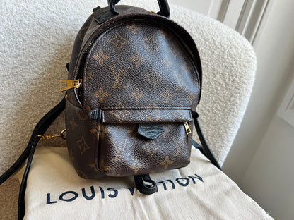 Louis Vuitton Palm Springs Mini Backpack (RRP £1,860)