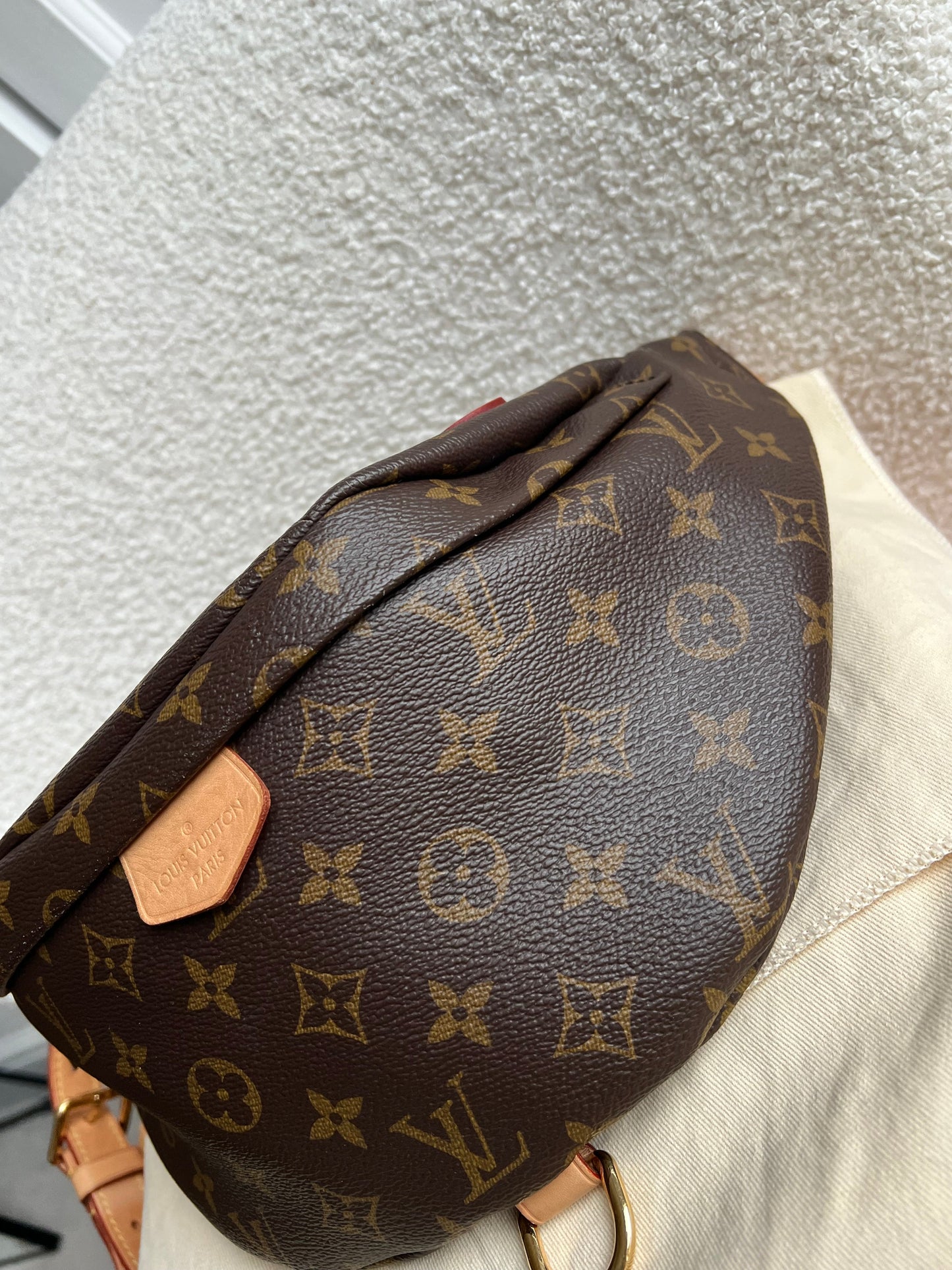 Louis Vuitton Bumbag in Monogram Canvas
