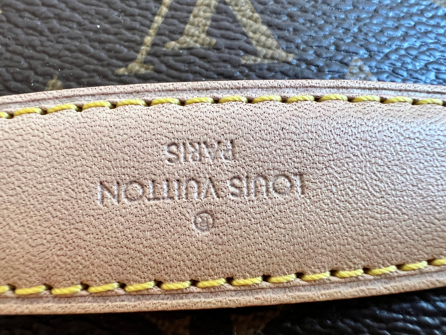 Louis Vuitton Bumbag in Monogram Canvas