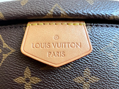 Louis Vuitton Bumbag in Monogram Canvas