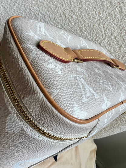 Louis Vuitton By the Pool Nice BB Bag Vanity Case