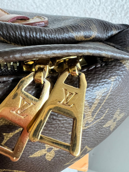 Louis Vuitton Bumbag in Monogram Canvas