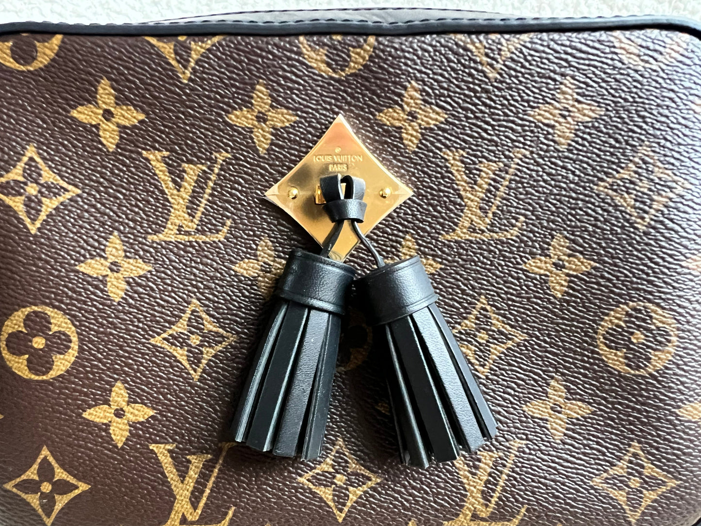 Louis Vuitton Saintonge Black and Monogram