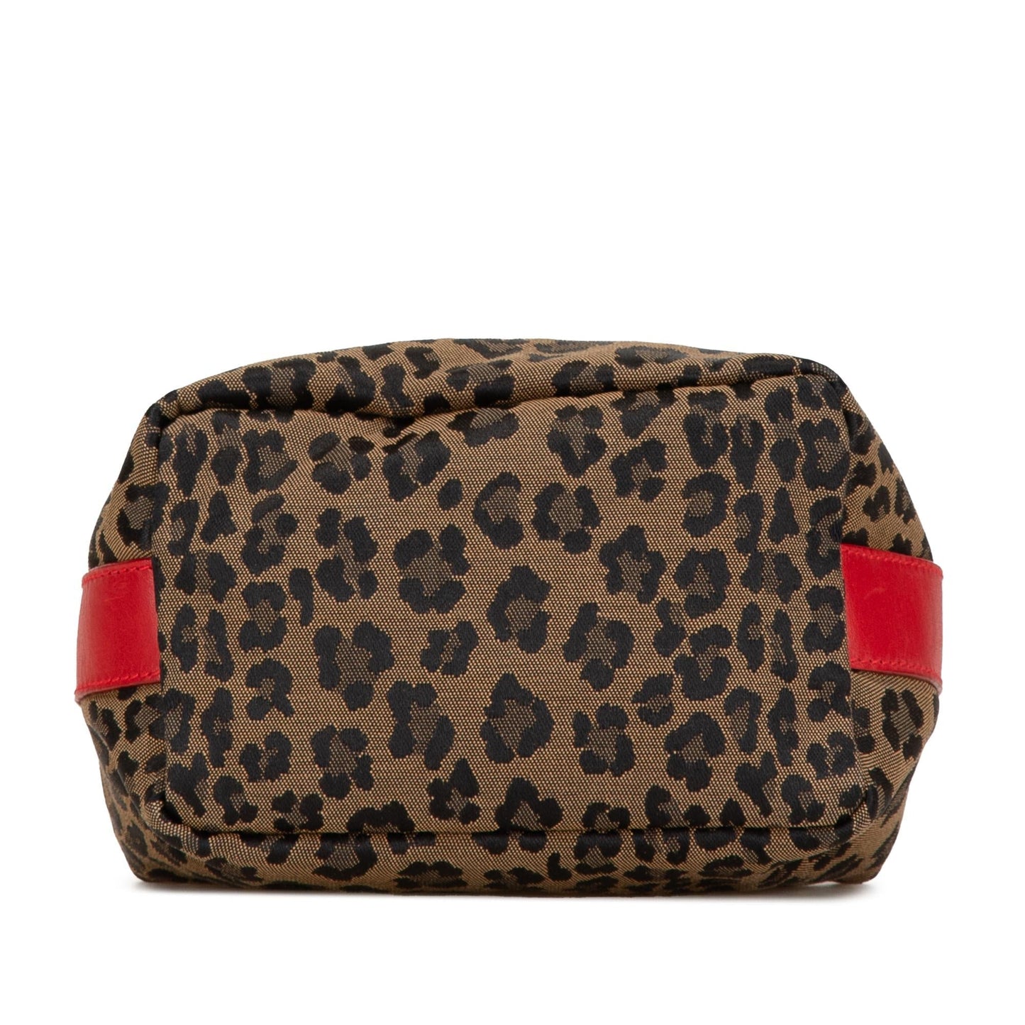 Fendi Leopard Print Canvas Handbag Shg-K1Hjde