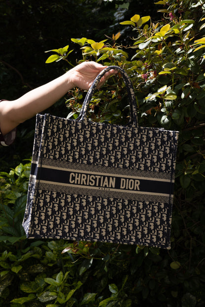 Christian Dior Book Tote Large Oblique Blue