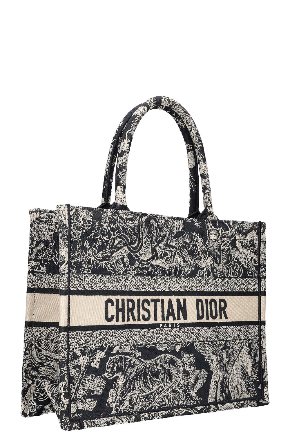 Christian Dior Book Tote Blue White