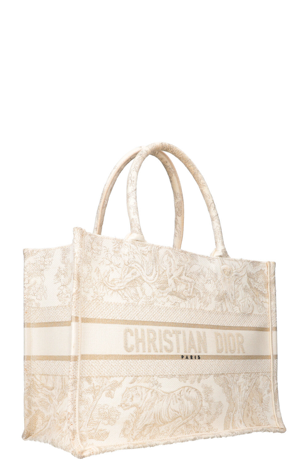 Dior Book Tote Mini Canvas Tote Bag