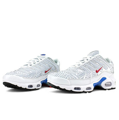 Nike Air Max Plus Euro Tour Particle Grey
