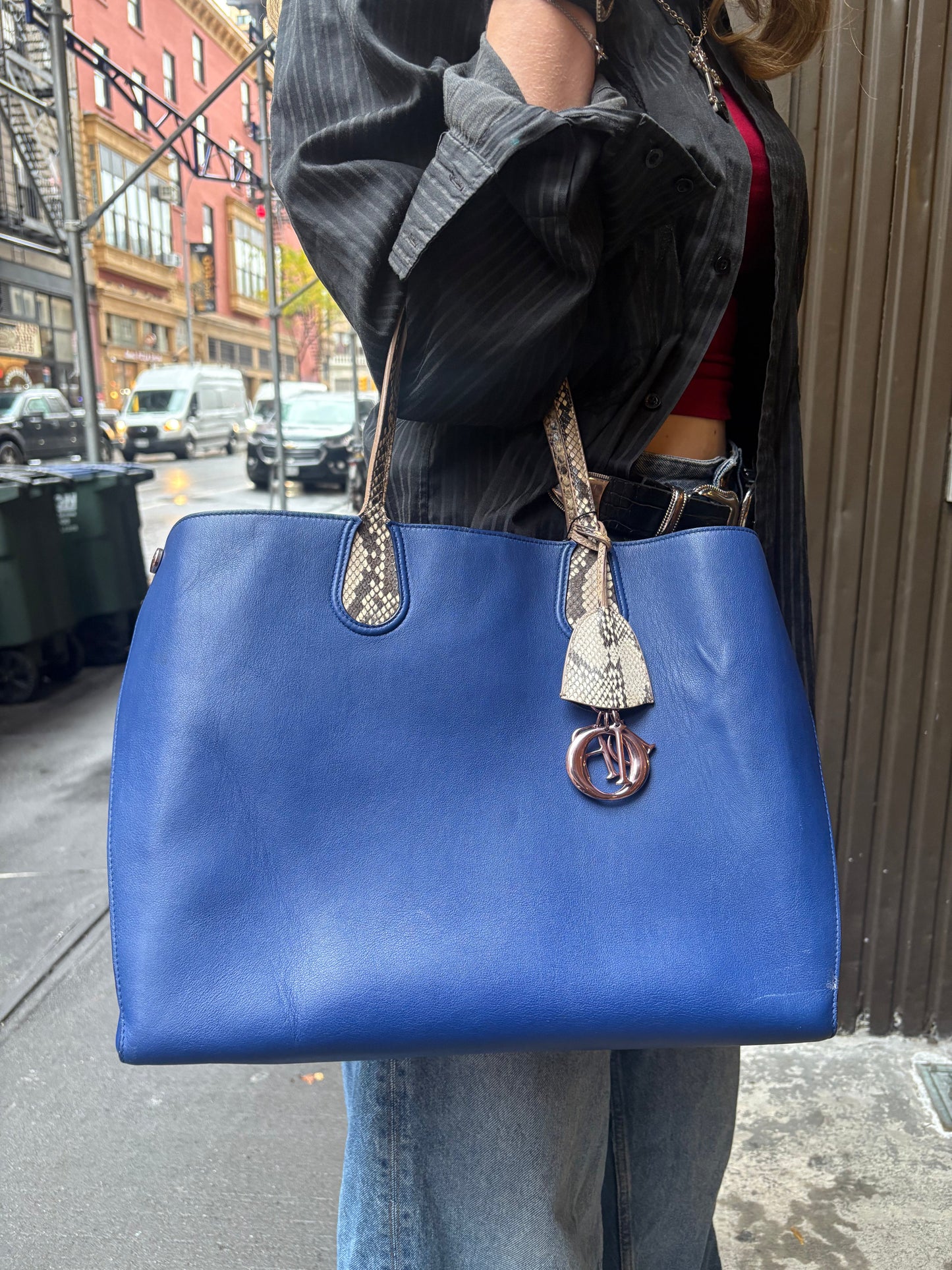 Christian Dior Python Trimmed Blue Addict Tote