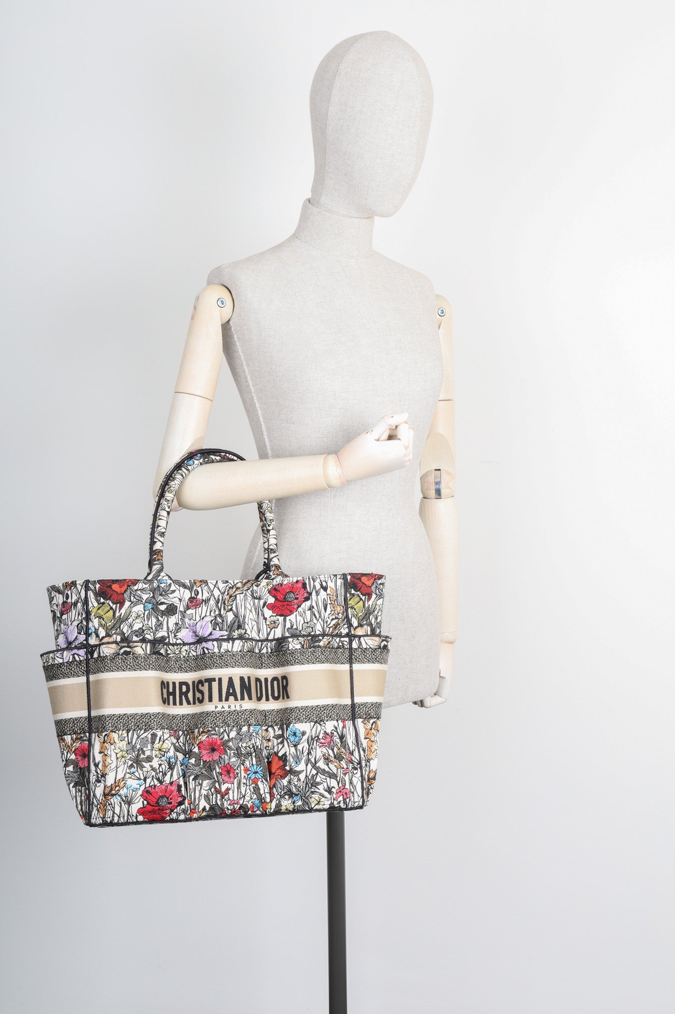 Dior Book Tote Canvas Tote Bag