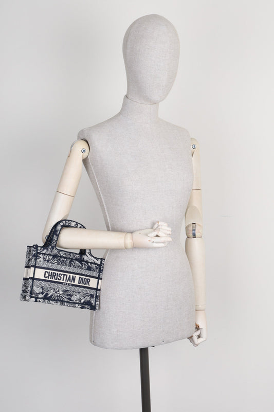 Dior Book Tote Mini Canvas Tote Bag