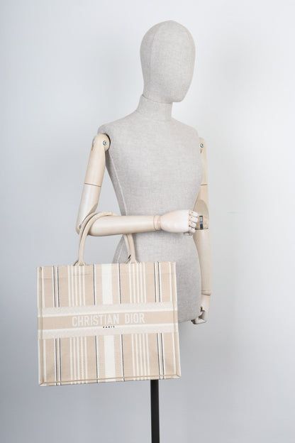 Dior Book Tote Mini Canvas Tote Bag