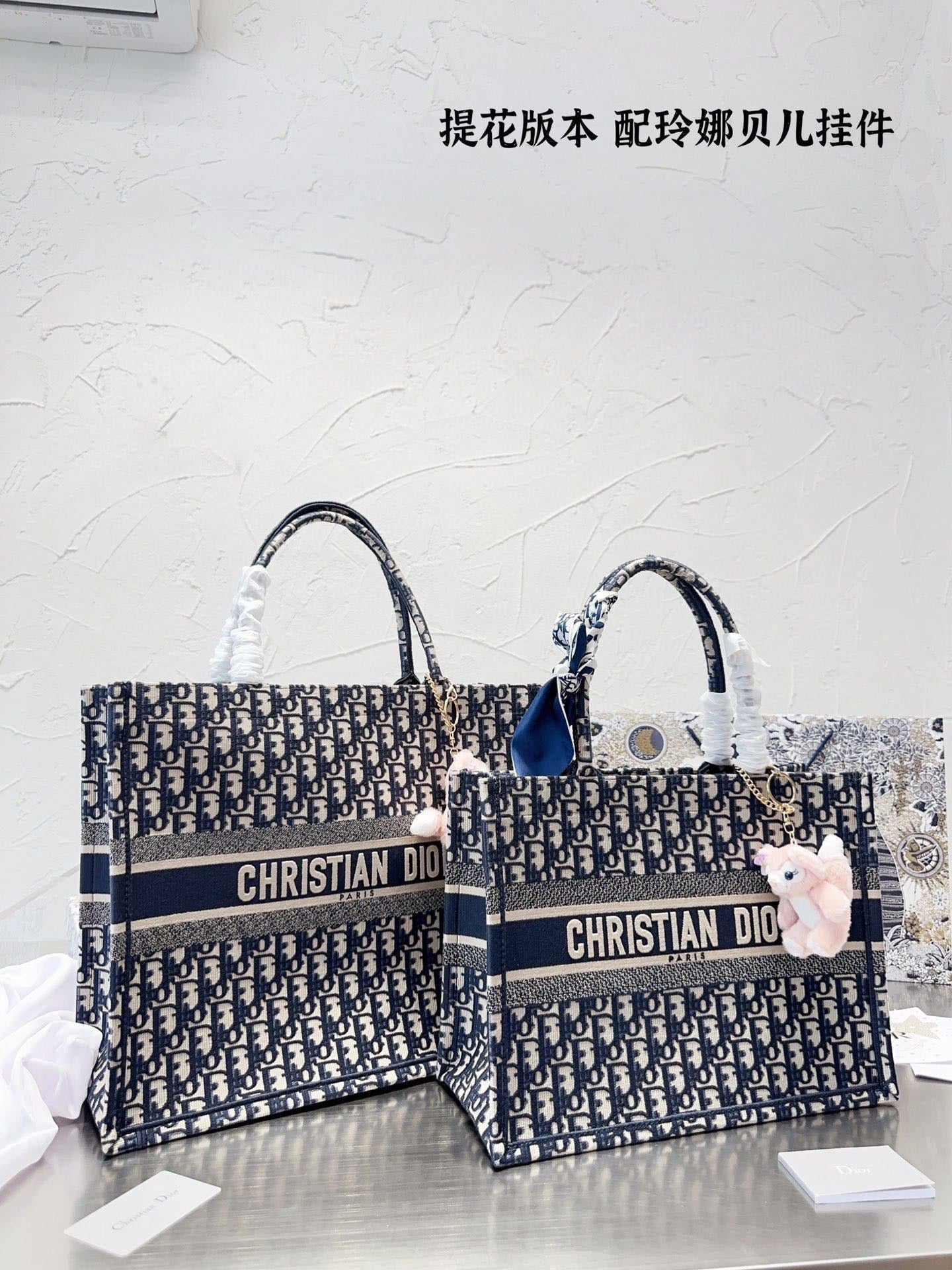 Dior Book Tote Tote Bag