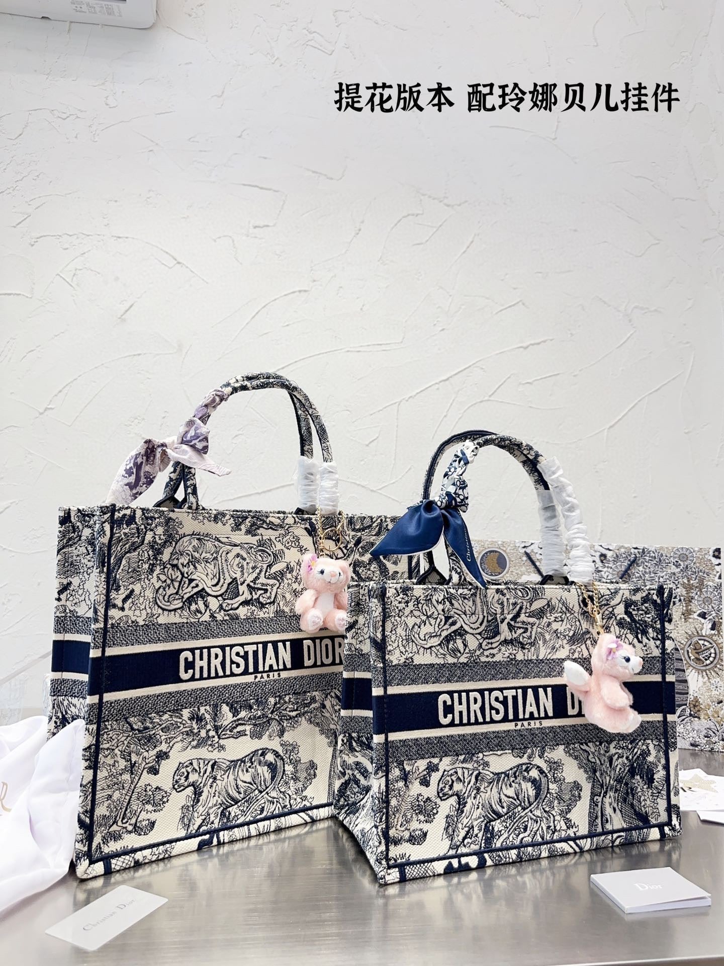 Dior Book Tote Tote Bag