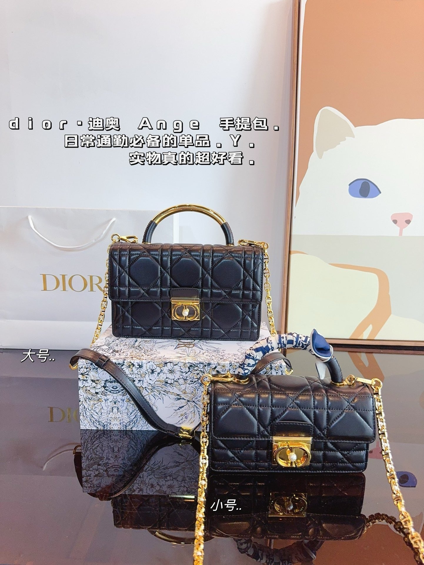 Dior Chain Leather Crossbody Bag
