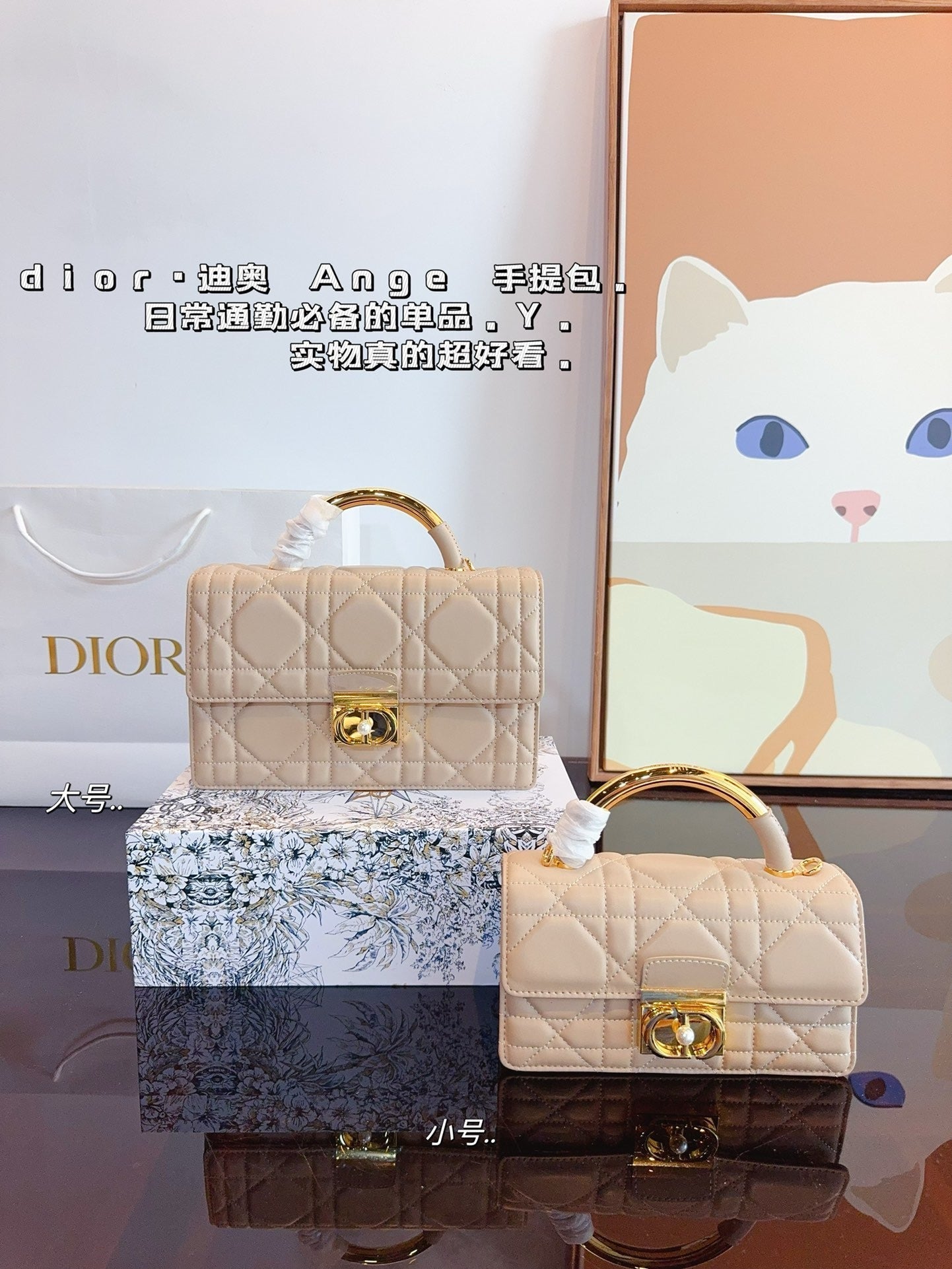 Dior Chain Leather Crossbody Bag