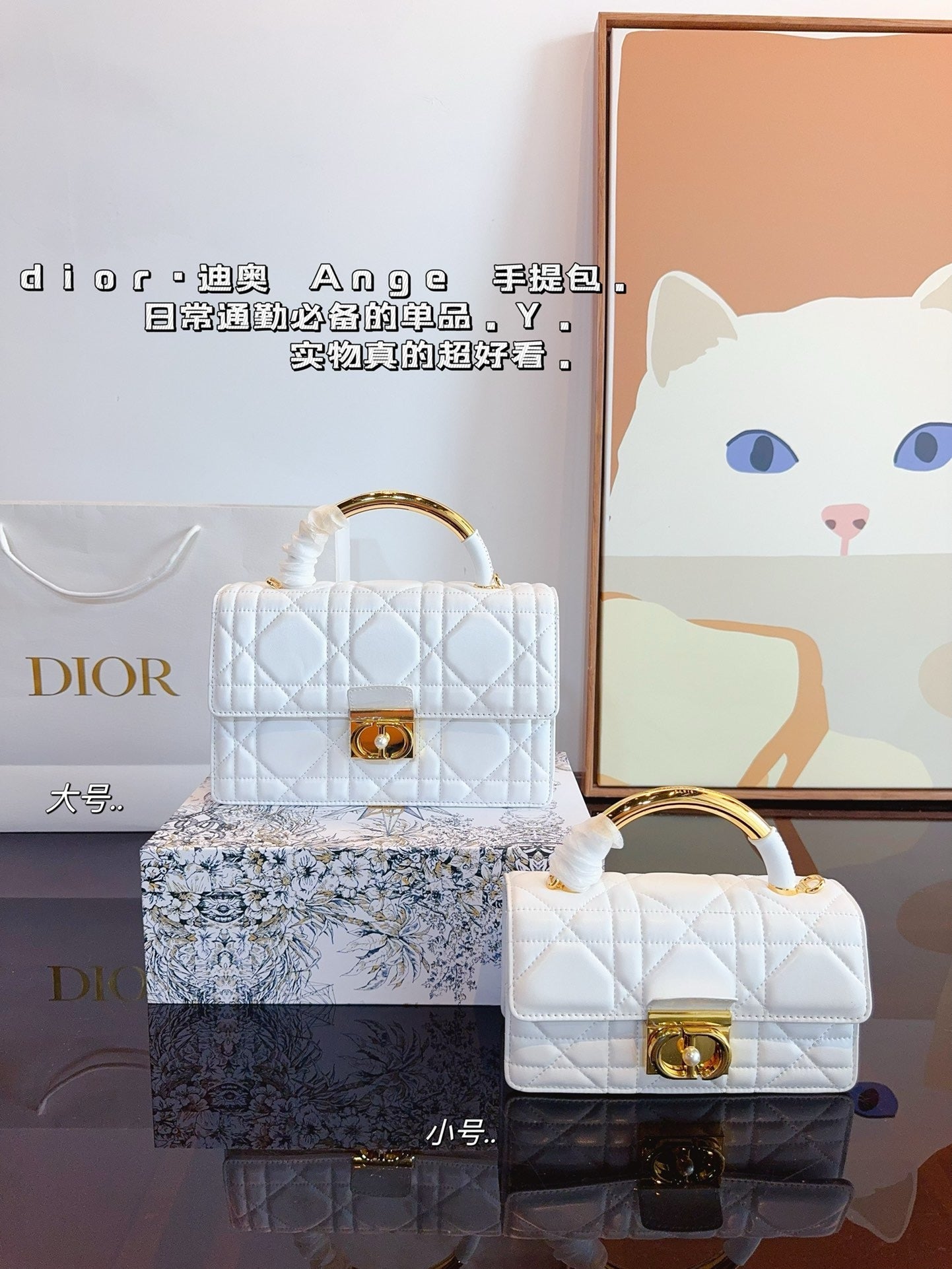 Dior Chain Leather Crossbody Bag